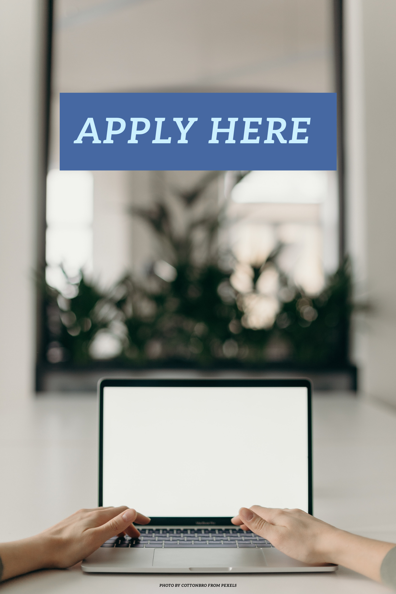 Link to apply